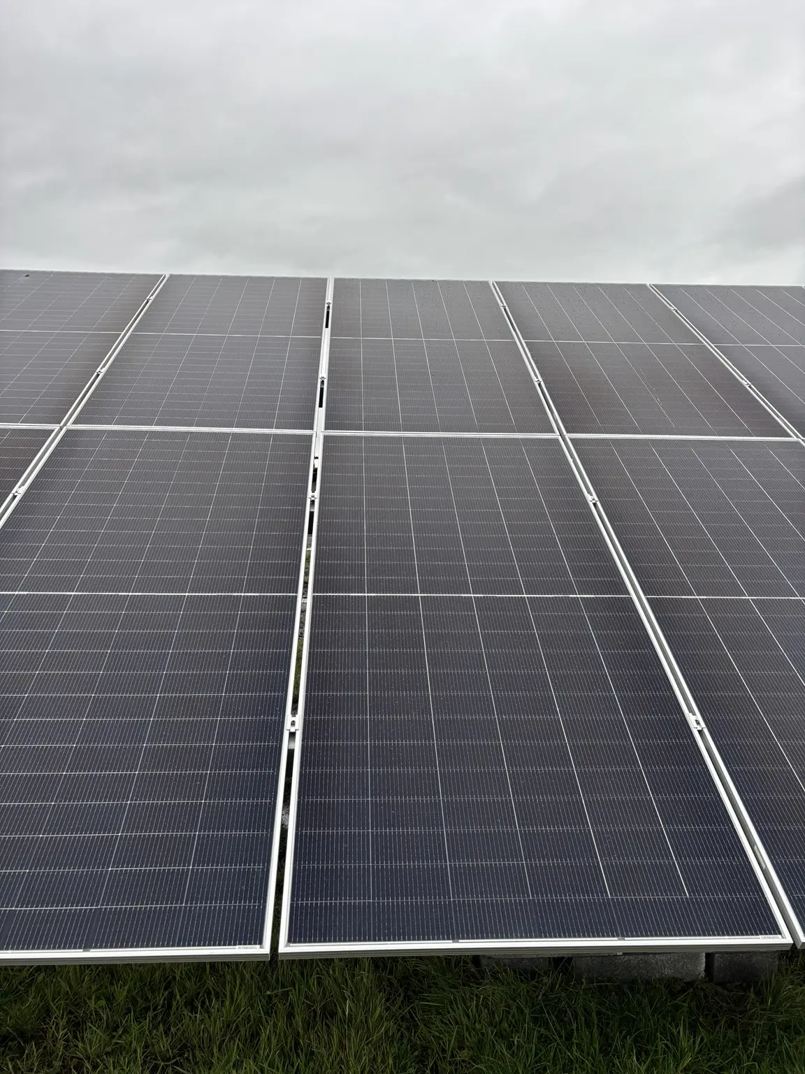 Aligned rows of installed photovoltaic modules under an overcast UK sky